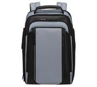 Laptoprucksack SAMSONITE "SPECTROLITE 4.0", Gr. B/H/T: 30cm x 43cm x 16cm, grau (cloudy grau), Polyester, Rucksäcke Laptoprucksack (59009358-0) cloudy grau