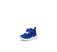 Lauflernschuh ECCO "Biom 2.2 Infant", Jungen, Gr. 19, blau (royalblau), Leder, Textil, Schuhe Lauflernschuh, Babyschuh, Klettschuh, Sneaker mit herausnehmbarer Innensohle (35307700-19)