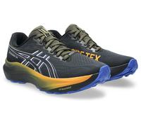 ASICS Herren Laufschuhe GT-2000 14 GTX (1011C058) 45 BLACK/VANILLA
