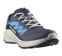 Salomon Herren Alphaglide GTX Schuhe (Größe 48, blau)