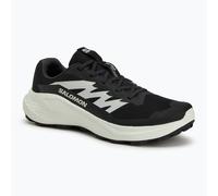 Salomon Alphaglide Trailrunning-schuhe EU 44 2/3