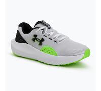 Laufschuhe Herren Under Armour Charged Surge 4 white/hyper green/black