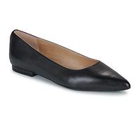 Lauren Ralph Lauren Ballerinas LONDYN in Schwarz 37 1/2