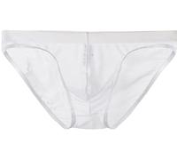 lclvld Herren Briefs Slips Low Rise Sexy Unterwäsche Reizvoll Transparent Slip Ice Silk Slip Atmungsaktive Unterwäsche
