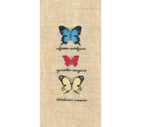 Le Bonheur des Dames Petit Point Stickpackung, Weiss