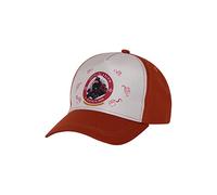 LEGO Harry Potter Cap Hogwarths Express LWAlex 319