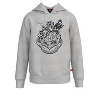 LEGO Hoodie "LEGO Harry Potter" in Grau - 48% | Größe 122 | Kinder Sweatshirts Jacken