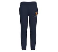 LEGO Harry Potter Unisex Sweatpant Jogginghose Gryffindor LWPeiter 102