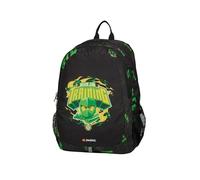 LEGO® NINJAGO® Elemental Master of energy Core Aero Schulrucksack I Grün I Ergonomischer Schulrucksack Teenager mit Brustgurt & 360° Reflektoren I 20 L Schulranzen Jungen 1. Klasse