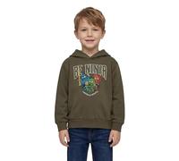 LEGO® NINJAGO® Hoodie für Jungen - Kapuzenpullover mit Ninja-Print | Weiches Sweatshirt aus 100% Bio-Baumwolle | Bequemes Oberteil für Fans