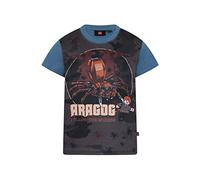 LEGO Unisex Harry Potter Lwtaylor 318 T-Shirt, 612 Faded Blue, 152 EU