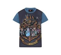 LEGO Unisex Harry Potter Lwtaylor 321 T-Shirt, 612 Faded Blue, 122 EU