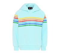 LEGO Unisex Kapuzenpullover Hoodie LWStorm 301