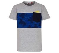 LEGO Wear Jungen Boy Tiger 324 - T-Shirt T-Shirt, per Pack Grau (Grey Melange 912), 128 (Herstellergröße: 128)