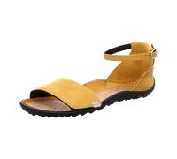 leguano jara gelb 41