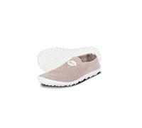 leguano leguanito scio rose 24