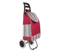 Leichter Einkaufswagen, Zusammenklappbarer Einkaufswagen mit abnehmbarer Tasche, 50 l, 2 Räder, Alu-Sitz, 2-in-1