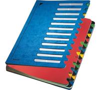 LEITZ Ordnungsmappe Deskorganizer Color A4 24 Fächer blau - 59140035