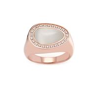Leonardo 019641 Damen Ring Amisa Edelstahl Rose weiß 53 (16.9)