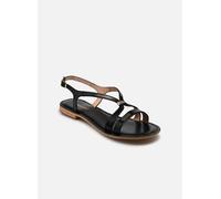 Les Tropéziennes par M Belarbi - Sandalen HAMOON - Schwarz - Größe 36