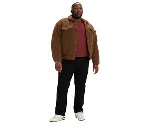 Levi's 541 Ath Taper B&T Native Cali