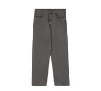 Levi's 568 Loose Straight 33 / Today Is A Gray Day