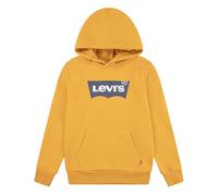 Levi's Baby - Jungen LVB Batwing Screenprint Hoodie Hooded Sweatshirt, Autumn Blaze,
