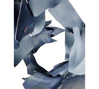 Levi's Damen High Rise Baggy Shorts aus Leinen Denim Stop Flaxing Short Blue 27