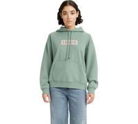 Levi's® GRAPHIC STANDARD HOODIE BATWIN Damen Sweatshirt, hellgrün, größe XS
