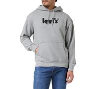Levi's® T2 RELAXED GRAPHIC PO MV LOGO Herren Kapuzenpullover, grau, größe S