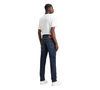 Levis Herren Taper Jeans 502 in Biologia W34 / L32 Regular Fit