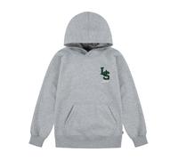 Levi's Kids Hoodie in Grau - Größe 128 | Kinder Sweatshirts Jacken