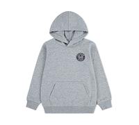 Kapuzensweatshirt LEVI'S KIDS "LVB MODERN CREST HOODIE", Jungen, Gr. 16 (176), grau heather, Sweatware, Obermaterial: 60% Baumwolle, 40% Polyester, meliert, lässig geschnitten hüftbedeckend, Rundhals,