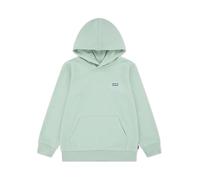 Hoodie LEVI'S KIDS "LVB MINI BATWING PULL OVER HOO", Jungen, Gr. 10 (140), cameo grün, Sweatware, Obermaterial: 60% Baumwolle, 40% Polyester, bequem hüftbedeckend, angesetztes Bündchen, Sweatshirts Ho