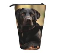 LHBWCVN Kosmetiktasche mit niedlichem Labrador-Hund, stehendes Federmäppchen, Teleskop-Federtasche, tragbarer Stifthalter, niedliches Stand-up-Bleistiftetui für Damen und Herren, Reise-Münztasche