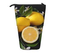LHBWCVN Kosmetiktasche mit Zitronen- und Blumenmotiv, Teleskop-Federmäppchen, tragbarer Stifthalter, niedlicher Stand-up-Bleistiftbeutel für Damen und Herren, Reise-Münztasche, Geldbörse