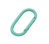 LIBCAM 5 Stück ovale Federschnallen 49x25mm, Mehrfarbiger Schlüsselanhänger-Hakenverschluss, Schlüsselringverschluss for Handtaschenherstellungsmaterial(Mint)