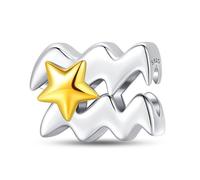 LIGHTDOG Damen 925 Silber Charms für Armbänder 12 Sternzeichen Anhänger Geeignet für Europäische Armbänder & Pandora Armbänder Halsketten Kompatibel Geburtstag Vergoldete Charms