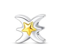 LIGHTDOG Damen 925 Silber Charms für Armbänder 12 Sternzeichen Anhänger Geeignet für Europäische Armbänder & Pandora Armbänder Halsketten Kompatibel Geburtstag Vergoldete Charms