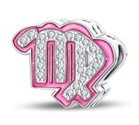 LIGHTDOG Damen 925 Silber Charms für Armbänder 12 Sternzeichen Anhänger Geeignet für Europäische Armbänder & Pandora Armbänder Halsketten Kompatibel Geburtstag Vergoldete Charms