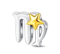 LIGHTDOG Damen 925 Silber Charms für Armbänder 12 Sternzeichen Anhänger Geeignet für Europäische Armbänder & Pandora Armbänder Halsketten Kompatibel Geburtstag Vergoldete Charms
