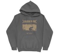 Linkin Park Unisex Meteora Hoodie Kapuzenpullover, Dunkelgrau, XX-Large