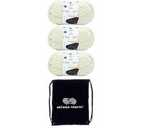 Lion Brand Hue & Me Salt 617-098 (3 Knäuel - gleiche Farbstofflose) Chunky Bulky #5 Acryl, Wollgarn zum Häkeln und Stricken, mit Projekttasche