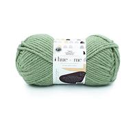 Lion Brand Yarn Company 617-171 Lion Brand Yarn Hue & Me Bulky, Artischocke, 1 Stück Garn