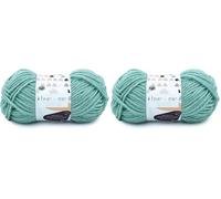 Lion Brand Yarn Hue & Me Garn, Sea Glass (Packung mit 2)
