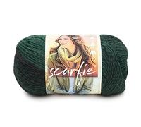 Lion Brand Yarn Scarfie - Strickgarn für Schals One Size Wald/Schwarz