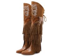 LIPIJIXI Women's Fringe Knee High Boots Chunky Heel Slip On Cowboy Boots