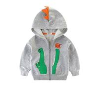 LitBud Kinder Jungen Hoodies für Kleinkind Cartoon Dinosaurier Jurassic World Park Reißverschluss Packaway Weihnachten Jacke Herbst Weihnachten Mantel 3-4 Jahre 110