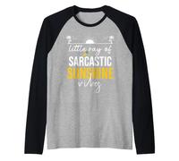 Little Ray of Sarcastic Sunshine Hello Summer Vibes Beach Raglan