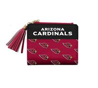 Littlearth Dallas Cowboys NFL Mini Organizer
